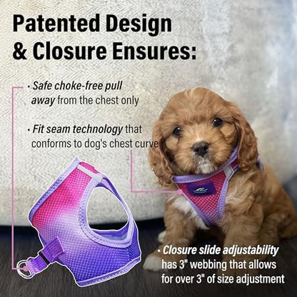 Doggie Design Dog Harness - Image 2