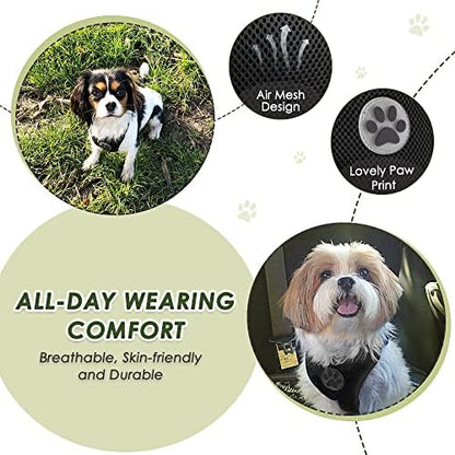 Lukovee Dog Car Harness Seat Belt, Harness & Seatbelt - Image 3