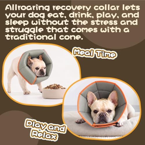 Allroaring Adjustable Dog Cone for Spay, Comfy Recovery Collar Orange L - Image 6