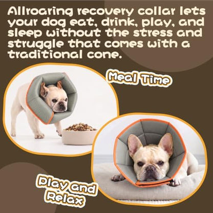 Allroaring Adjustable Dog Cone for Spay, Comfy Recovery Collar Orange L - Image 6