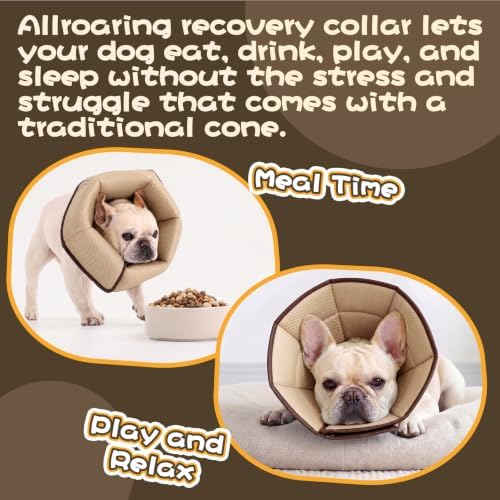Allroaring Breathable Recovery Cone - Image 6
