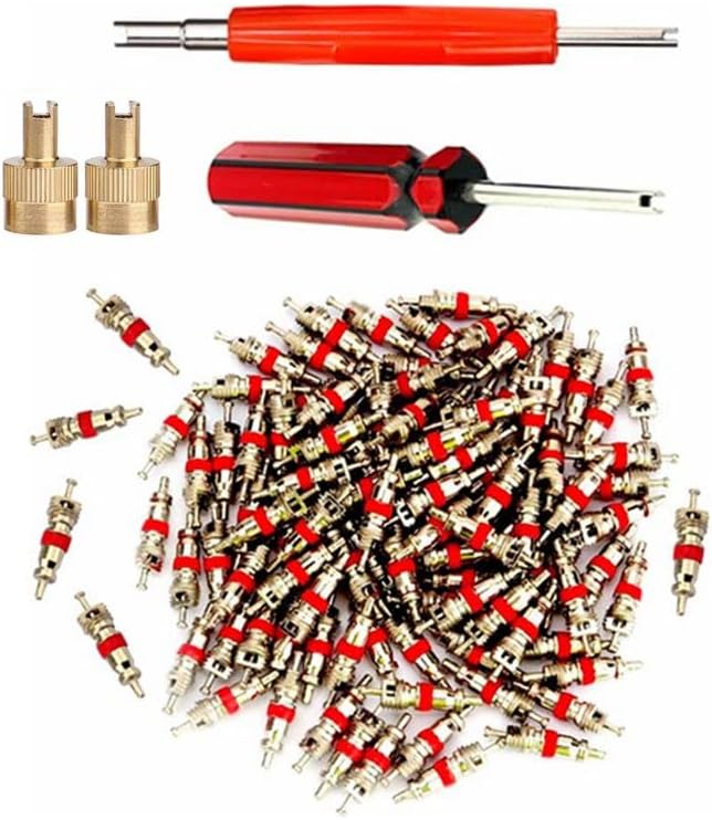 Valve Core Remover with 100 Pcs Car Truck Replacement TPMS Nickel Plated Tire by Aracey