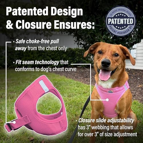 DOGGIE DESIGN Dog Harness - Image 3